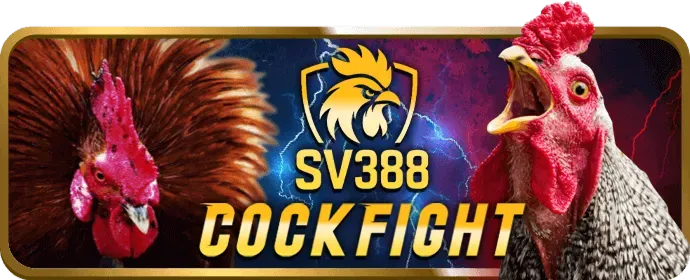 Cá cược E-sports tại go789 nhà cái