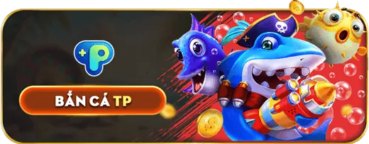 Cấp phép và Quy định